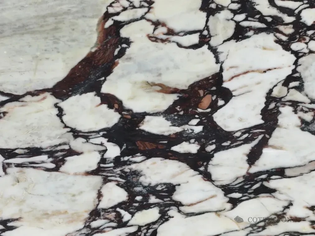 Ivory fragments and burgundy veins in natural Calacatta Viola marble